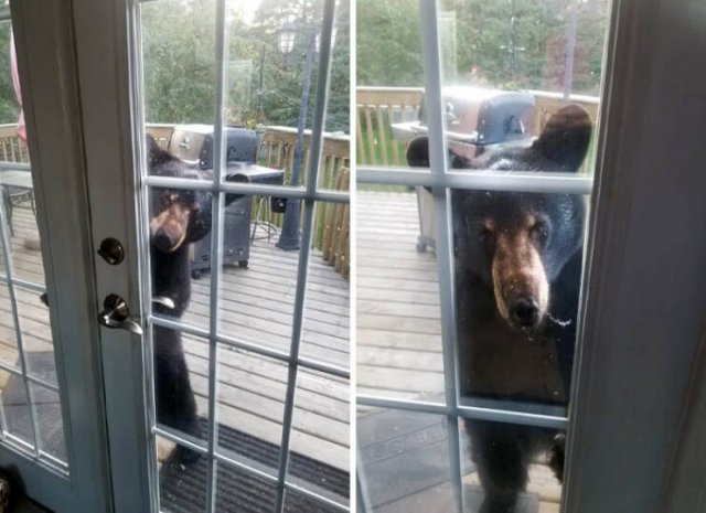 Interesting And Unusual Finds In Canada (26 pics)