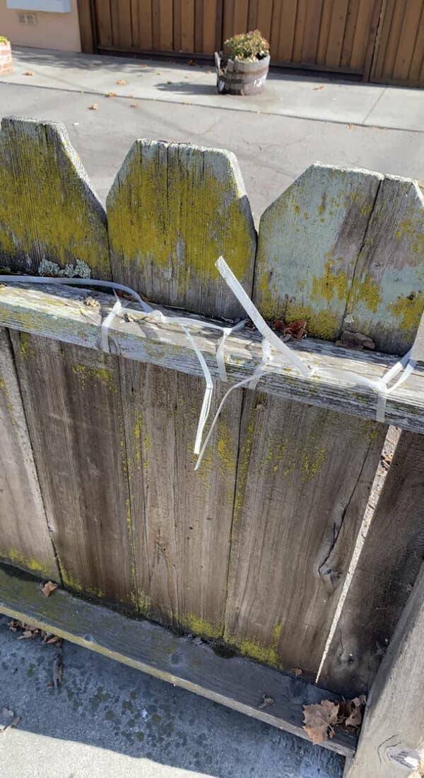 Weird Landlords (16 pics) Weird Landlords (16 pics)