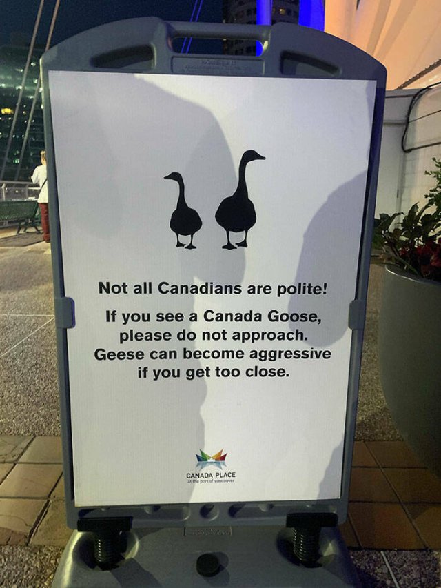 Interesting And Unusual Finds In Canada (26 pics)