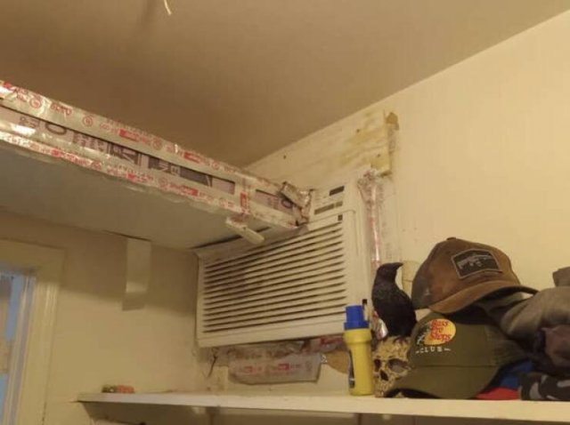 Weird Landlords (16 pics) Weird Landlords (16 pics)