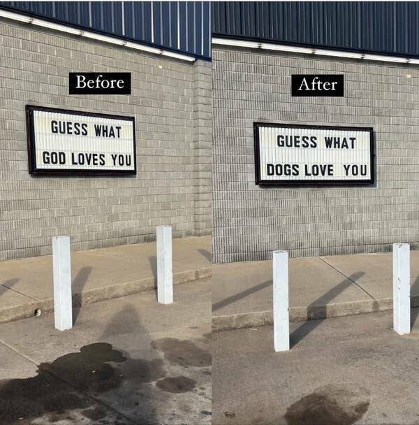 Funny Finds (17 pics)
