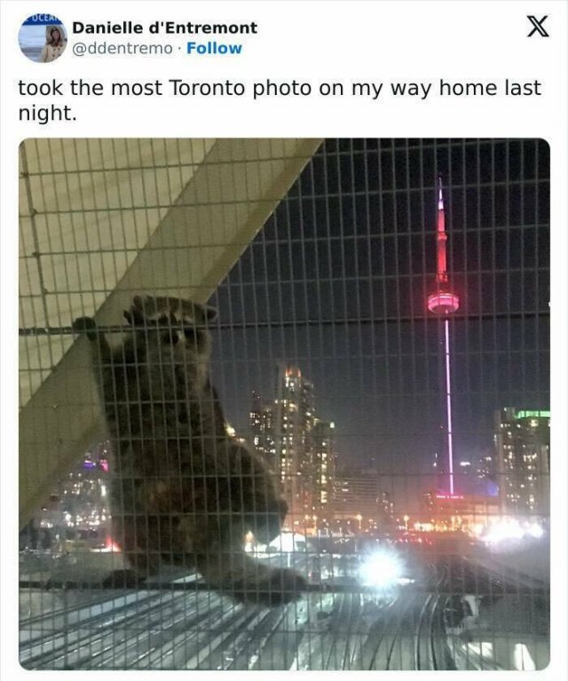 Interesting And Unusual Finds In Canada (26 pics)