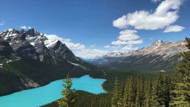 Interesting And Unusual Finds In Canada (26 pics)
