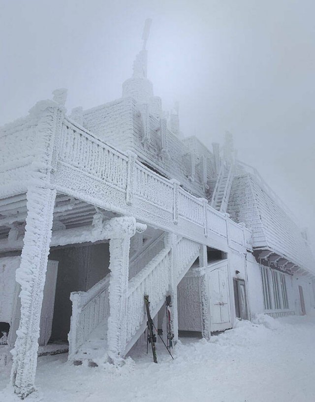 Interesting And Unusual Finds In Canada (26 pics)
