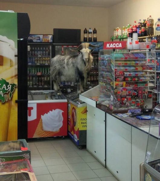 Strange Russians (40 pics)