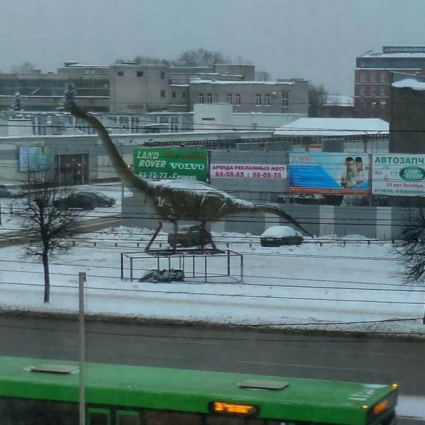 Strange Russians (40 pics)