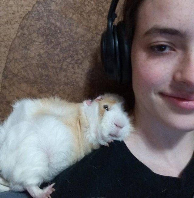 People Share Their Funny Pets (32 pics) People Share Their Funny Pets (32 pics)