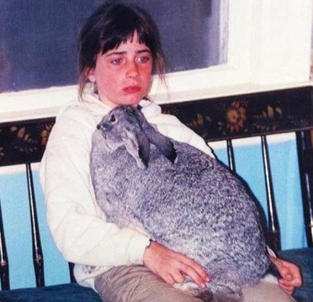 People Share Their Funny Pets (32 pics)