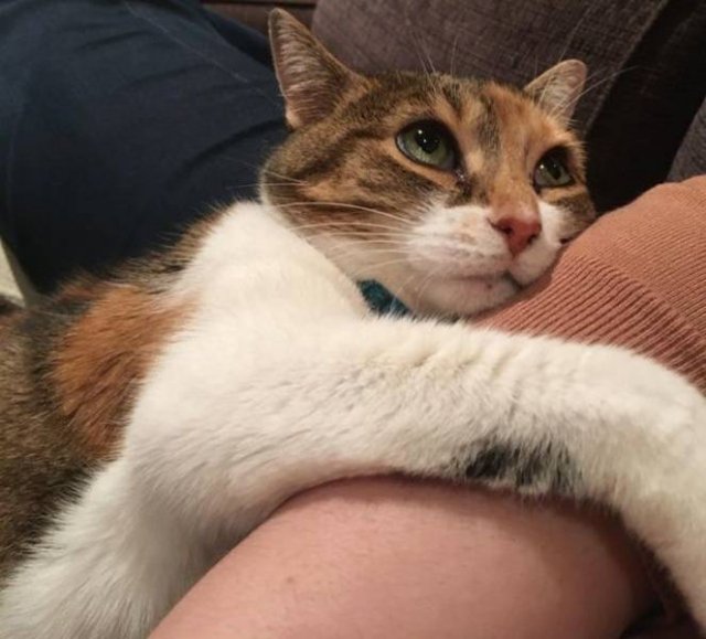 People Share Their Funny Pets (32 pics) People Share Their Funny Pets (32 pics)