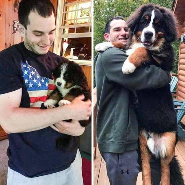 People Share Their Funny Pets (32 pics) People Share Their Funny Pets (32 pics)