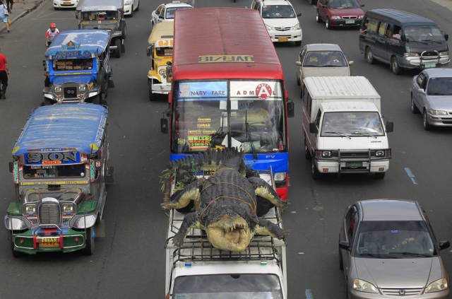 Odd Finds And Situations (34 pics)