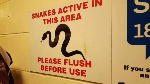 Odd Finds And Situations (34 pics)