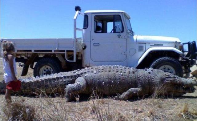 Odd Finds And Situations (34 pics)