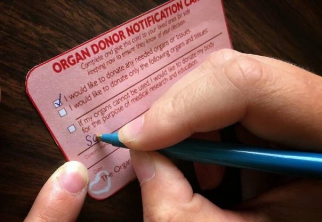 Random Facts (24 pics)