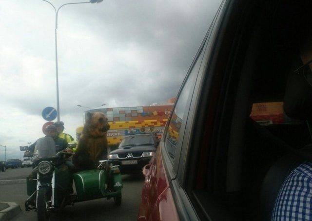 Strange Russians (40 pics)