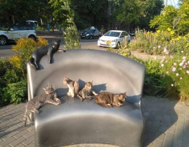 Strange Russians (40 pics)