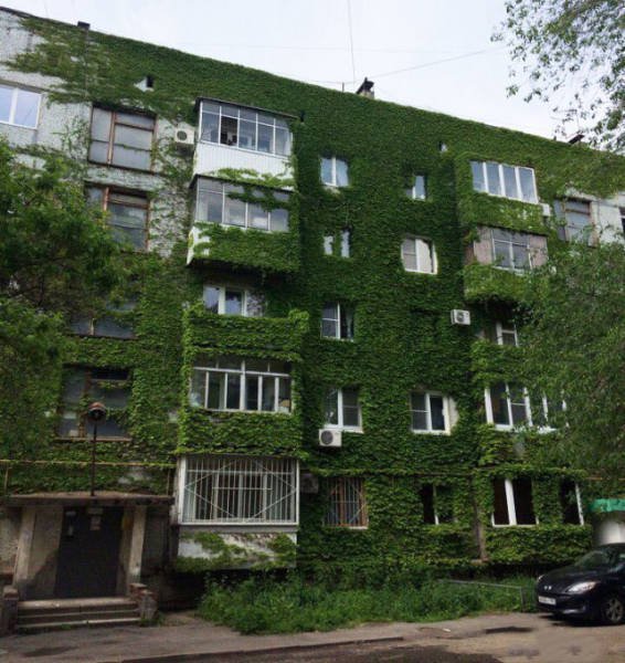 Strange Russians (40 pics)