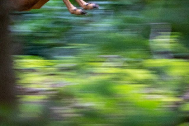 Funny And Unfortunate Wildlife Photos (24 pics) Funny And Unfortunate Wildlife Photos (24 pics)