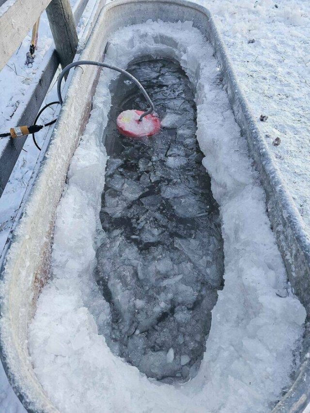 Canadians Share Photos Of Harsh Winter (15 pics) Canadians Share Photos Of Harsh Winter (15 pics)