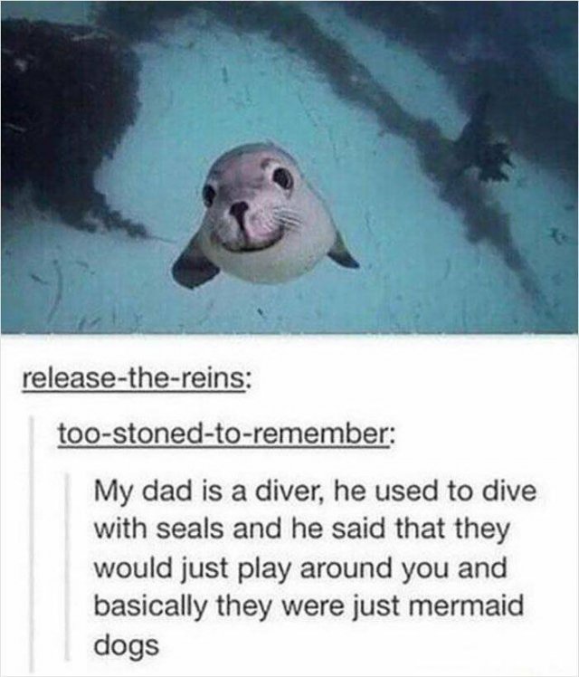 Funny Memes (20 pics)