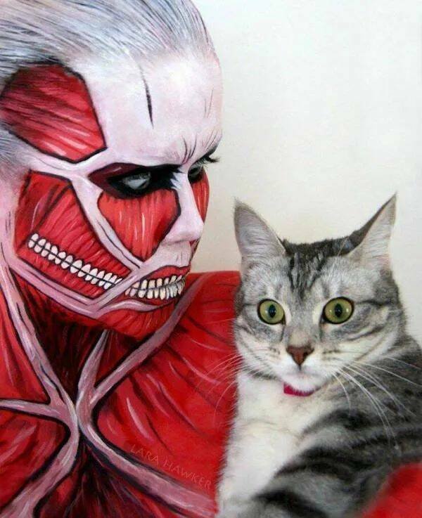 Funny Animals (24 pics)