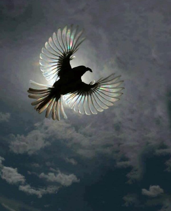 Cool Photos And Finds From Around The World (23 pics)