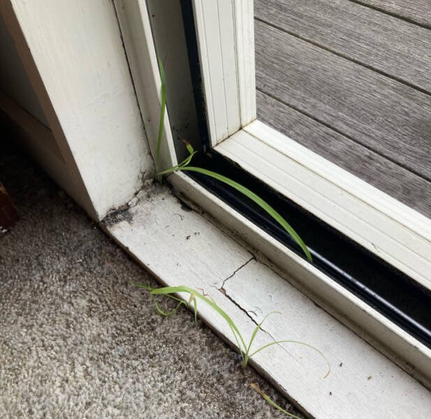 Failed Property Rental (24 pics)