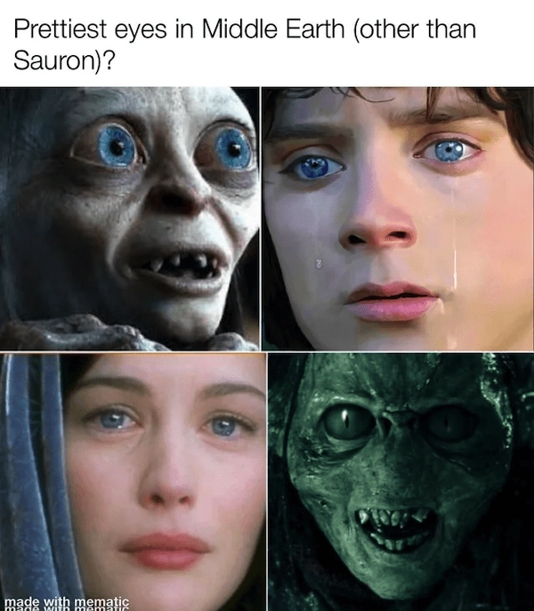 ''Lord Of The Rings'' Memes (20 pics)