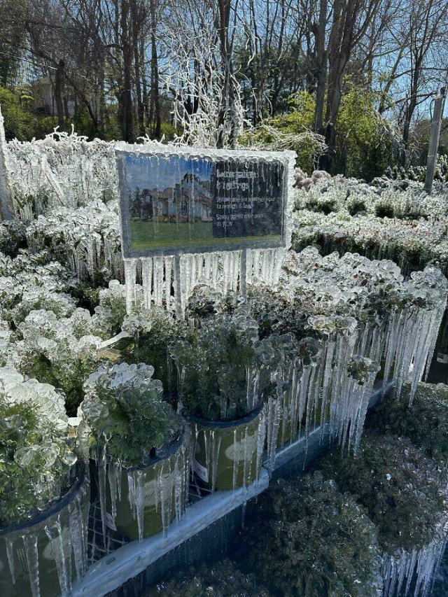 Harsh Winter Photos (25 pics)