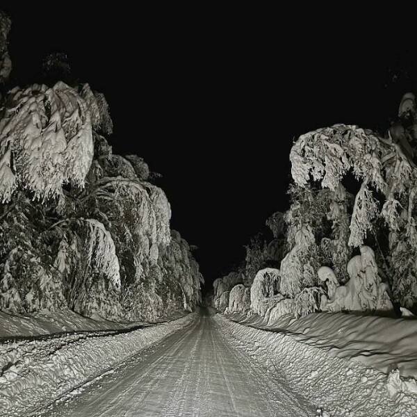 Harsh Winter Photos (25 pics)