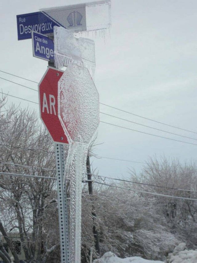 Harsh Winter Photos (25 pics)