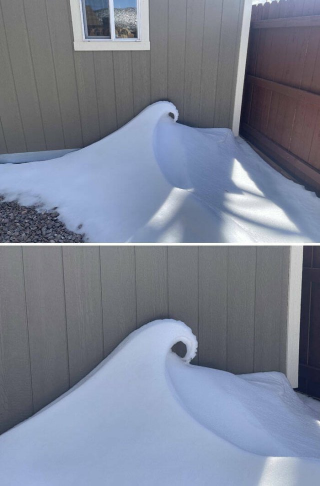 Harsh Winter Photos (25 pics)