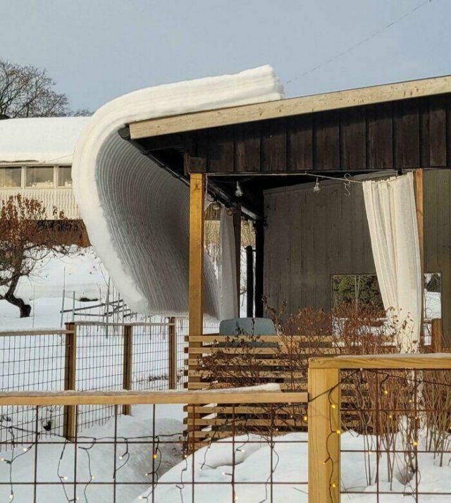 Harsh Winter Photos (25 pics)