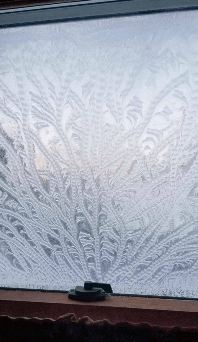 Harsh Winter Photos (25 pics)