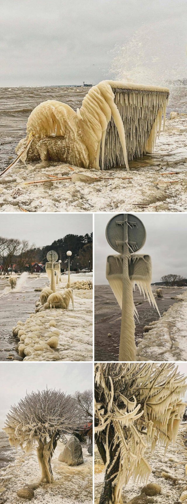 Harsh Winter Photos (25 pics)