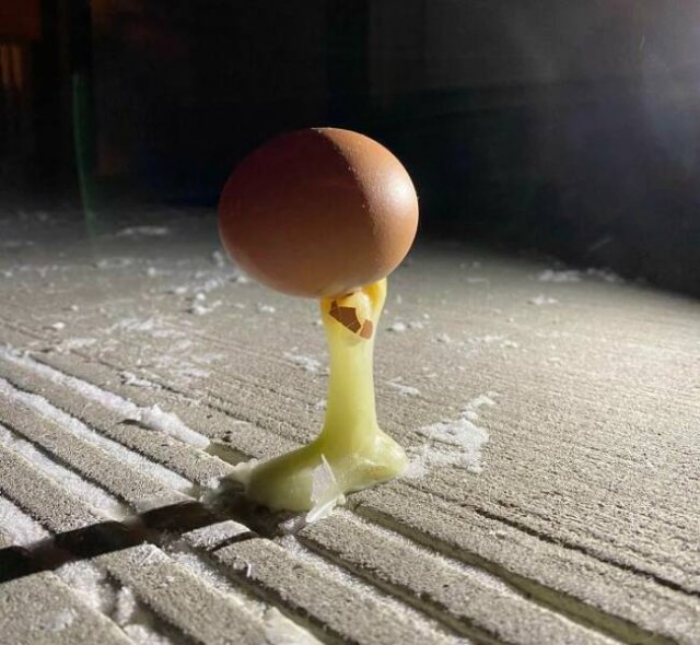 Harsh Winter Photos (25 pics)