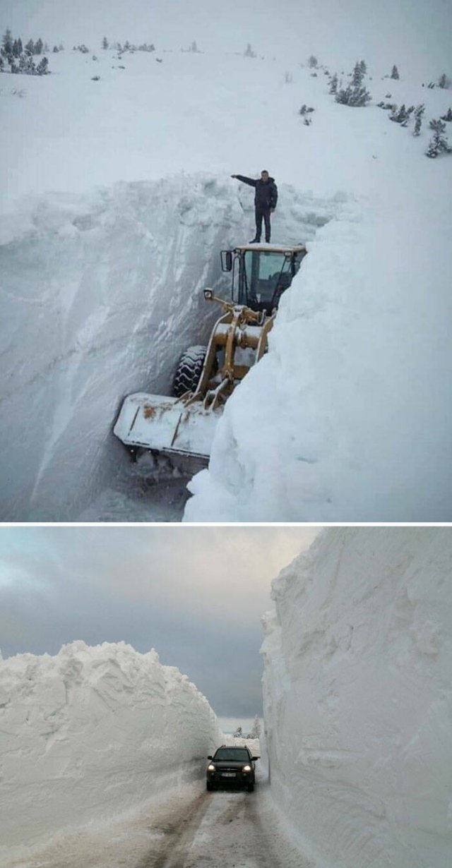 Harsh Winter Photos (25 pics)