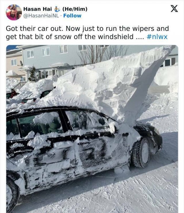 Harsh Winter Photos (25 pics)