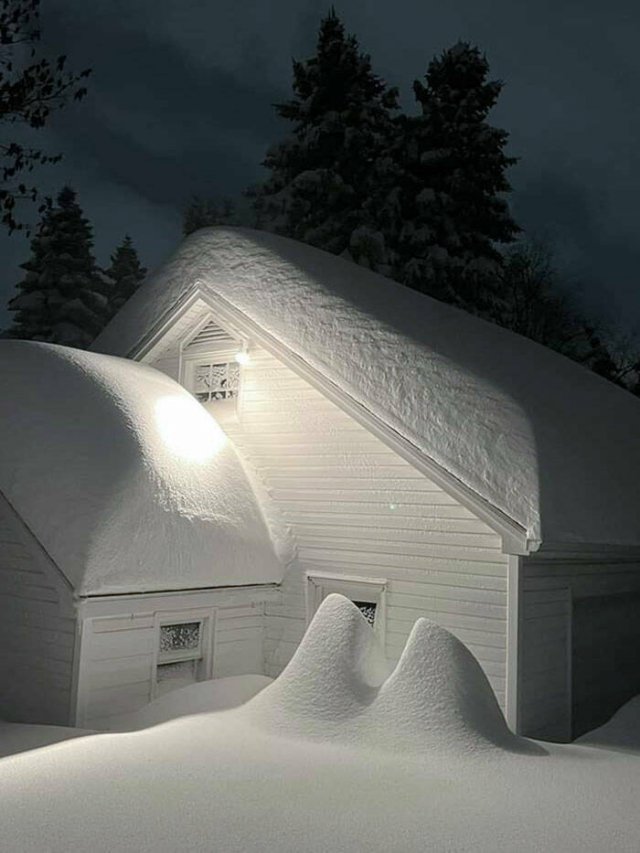 Harsh Winter Photos (25 pics)