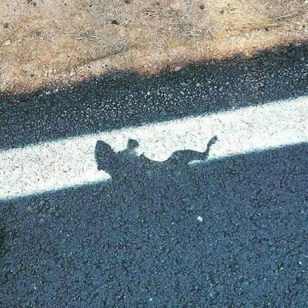 Epic Fails On The Job (25 pics)