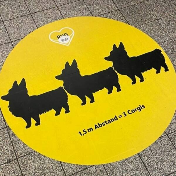 Weird People In The Subway (26 pics)