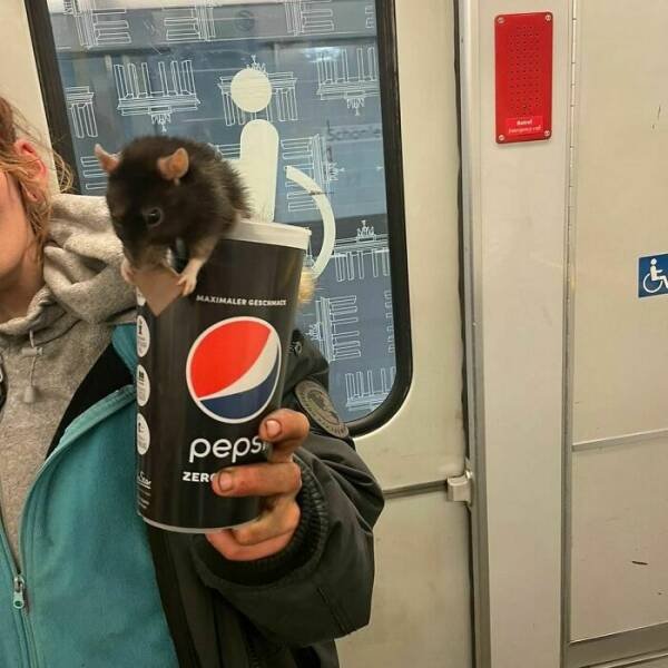 Weird People In The Subway (26 pics)