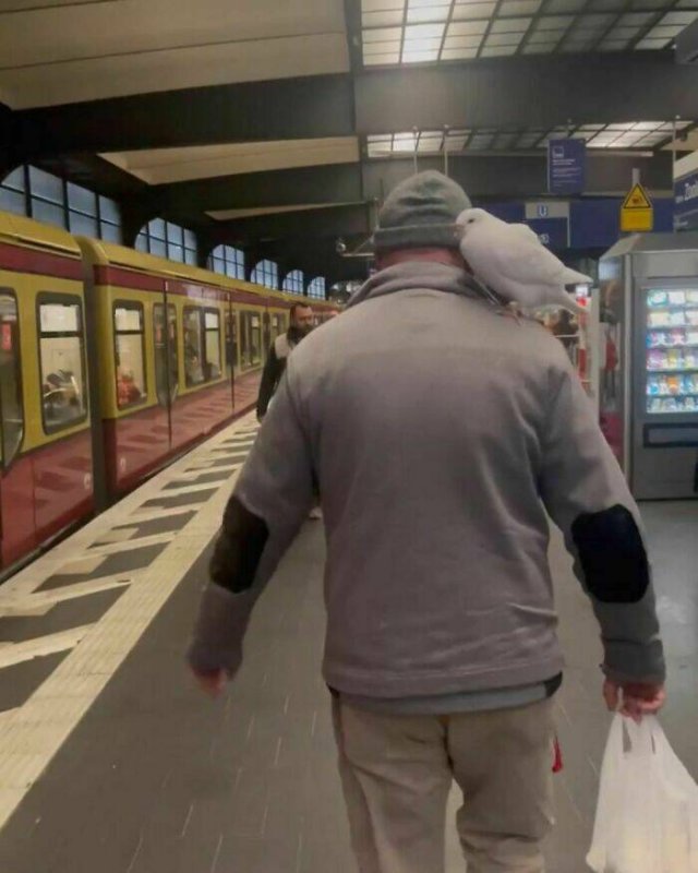 Weird People In The Subway (26 pics)