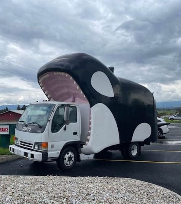 Crazy Cars (37 pics)