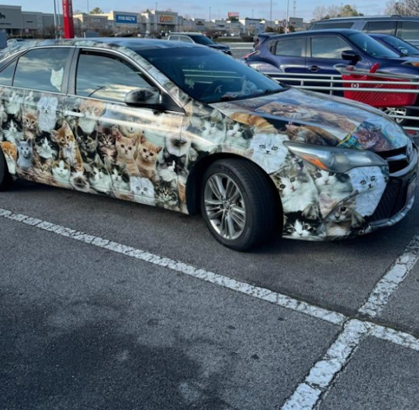 Crazy Cars (37 pics)