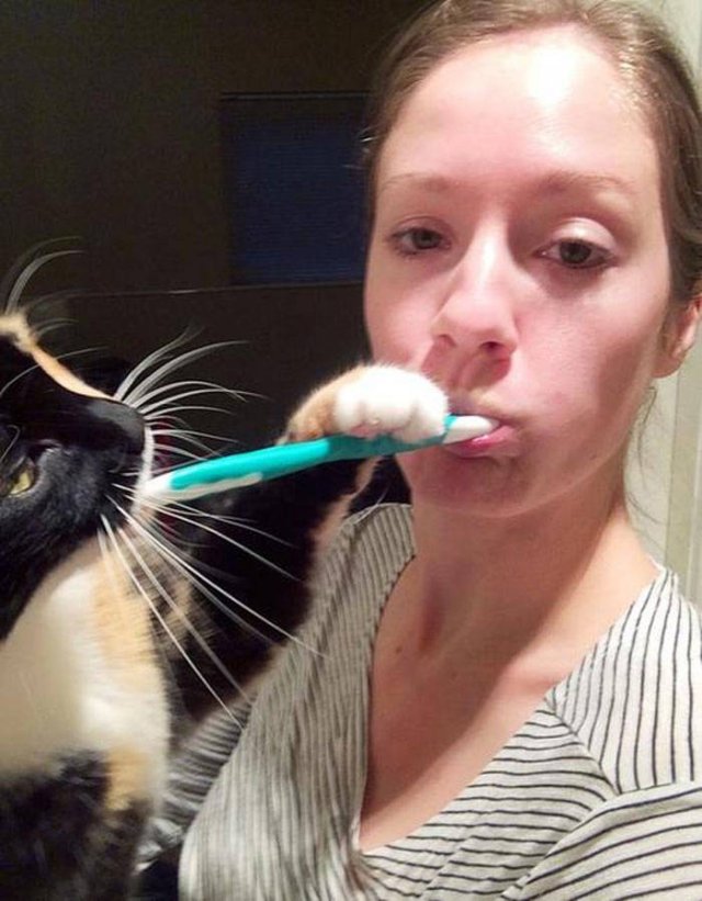 Cats Don't Care About Your Privacy (48 pics)