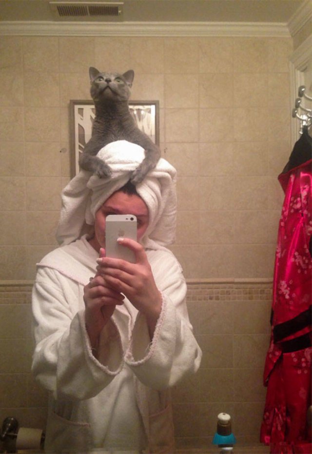 Cats Don't Care About Your Privacy (48 pics)