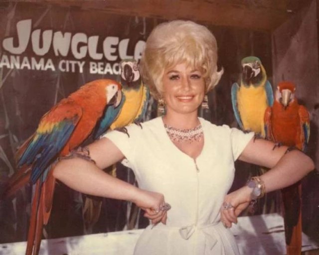 Celebrities In Their Youth (21 pics) Celebrities In Their Youth (21 pics)