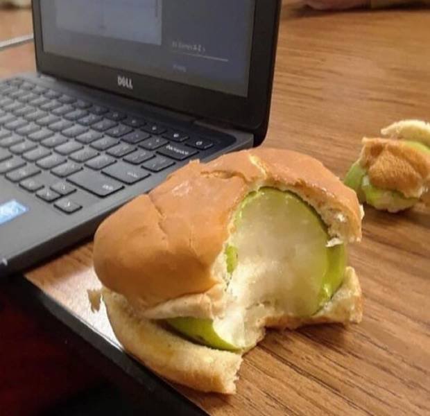 Strange Finds And Situations (49 pics)