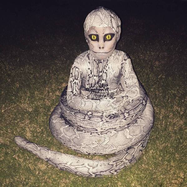 Strange Finds And Situations (49 pics)